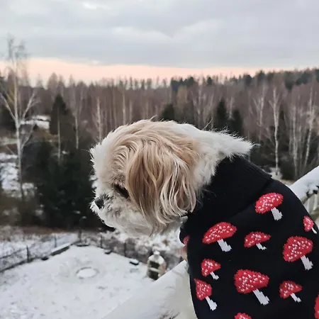 Gasthof Gorskie Zacisze Borowice