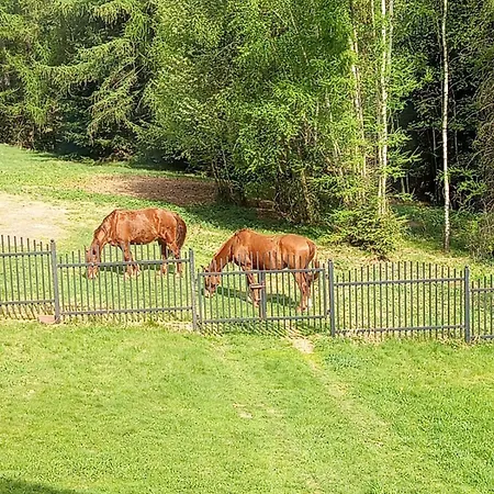 Gæstehus Gorskie Zacisze