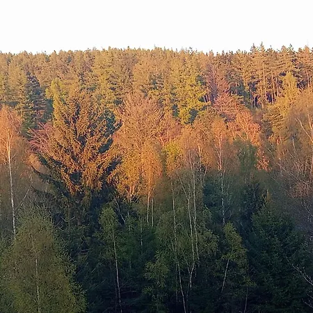 Gæstehus Gorskie Zacisze Borowice
