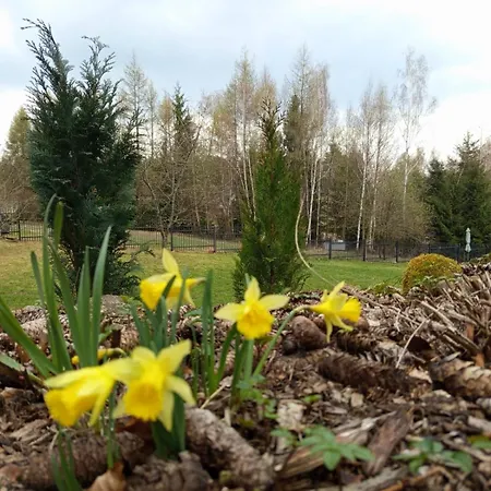 Gorskie Zacisze * Borowice