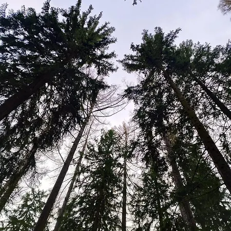 Gorskie Zacisze Gæstehus *