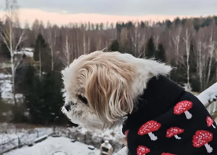 Gasthof Gorskie Zacisze Borowice