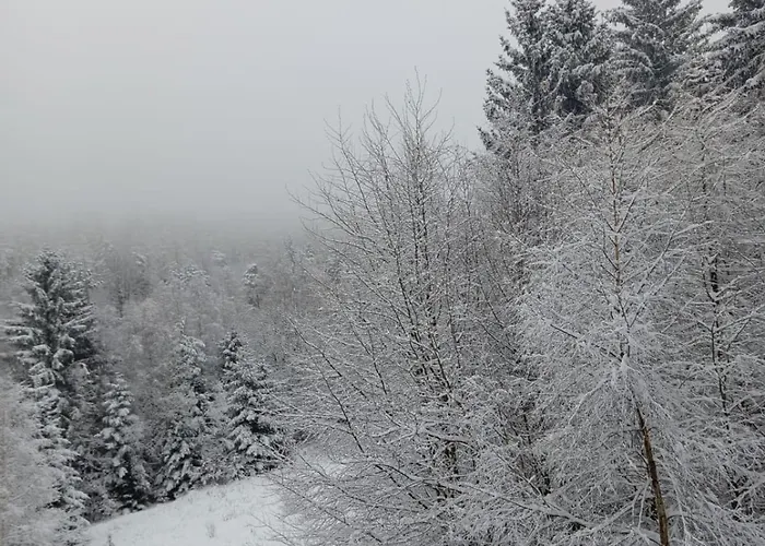 Gorskie Zacisze Gæstehus